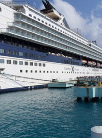 Re:Create Cruise